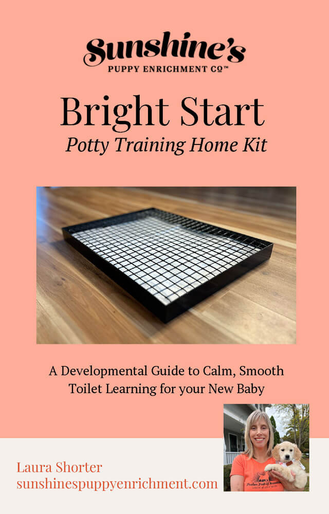 Sunshine's Bright Start Potty Training Kit