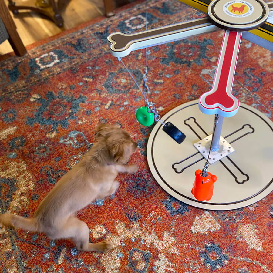 Sunshine's Big Top Toy Spinner