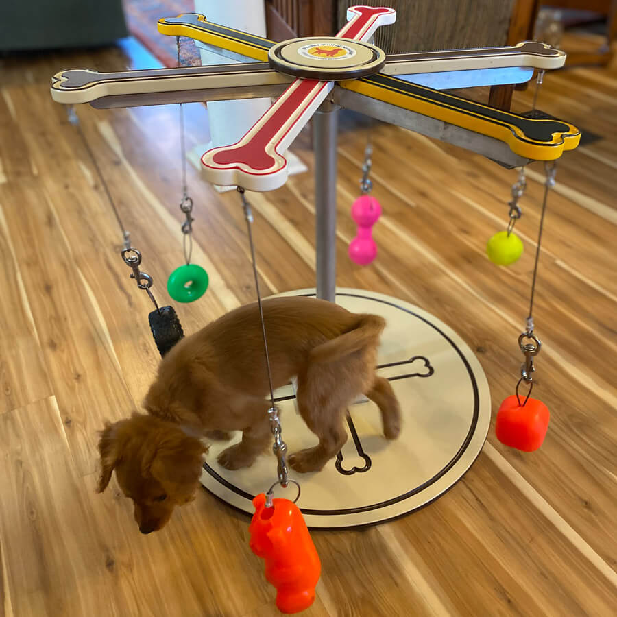 Sunshine's Big Top Toy Spinner