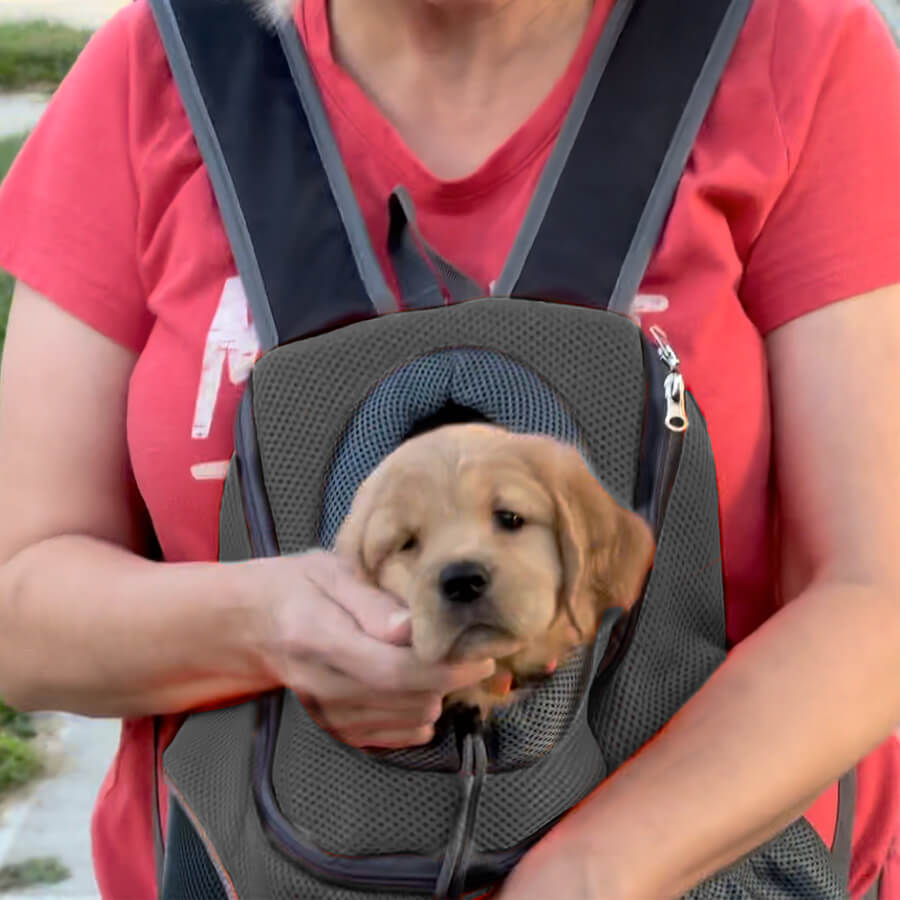 4 Off the Floor Puppy Knapsack