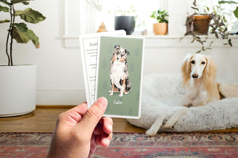 Calm Dog Cards