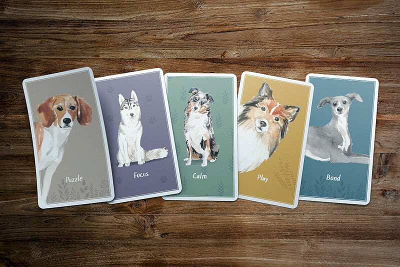 Calm Dog Cards