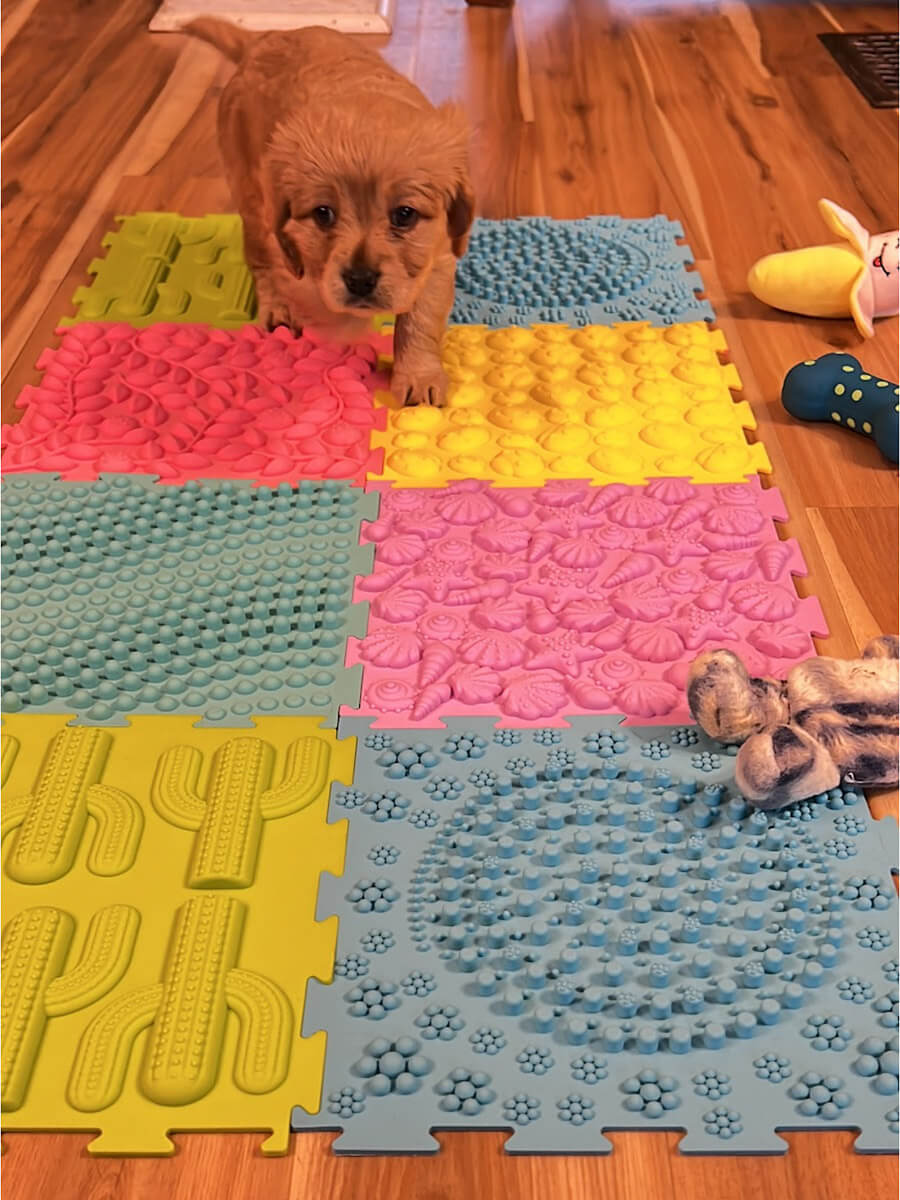 Sunshine's Silicone Texture Mats